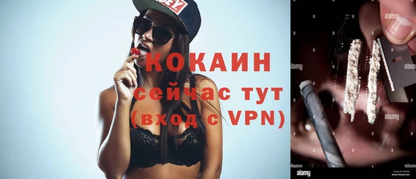 дурь Карпинск