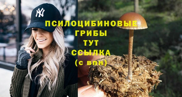 дурь Карпинск