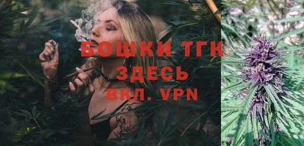 дурь Карпинск