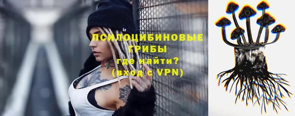 дурь Карпинск