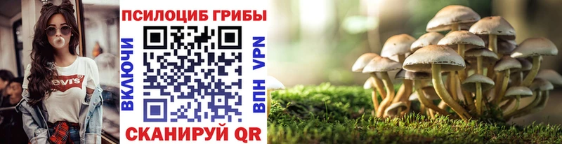 Псилоцибиновые грибы мухоморы Купить закладки Катав-Ивановск